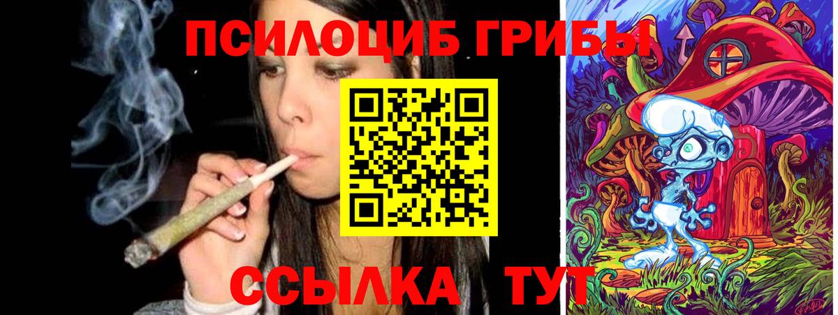 Зеленодольск  Галлюциногенные грибы GOLDEN TEACHER  Вход с VPN  Галлюциногенные грибы GOLDEN TEACHER 