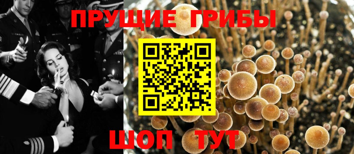 Галлюциногенные грибы Magic Shrooms Зеленодольск